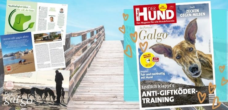 Ausgabe 07/20 von DER HUND