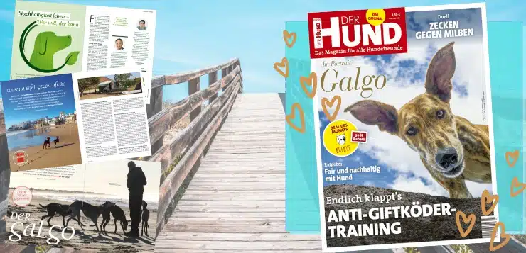 Ausgabe 07/20 von DER HUND