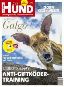 Das Cover von DER HUND, Ausgabe 7/20 zeigt einen Galgo, der von oben den Betrachter anschaut