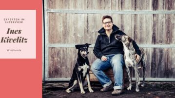 Windhunde-Interview: Der ist so dünn, geht’s dem gut?