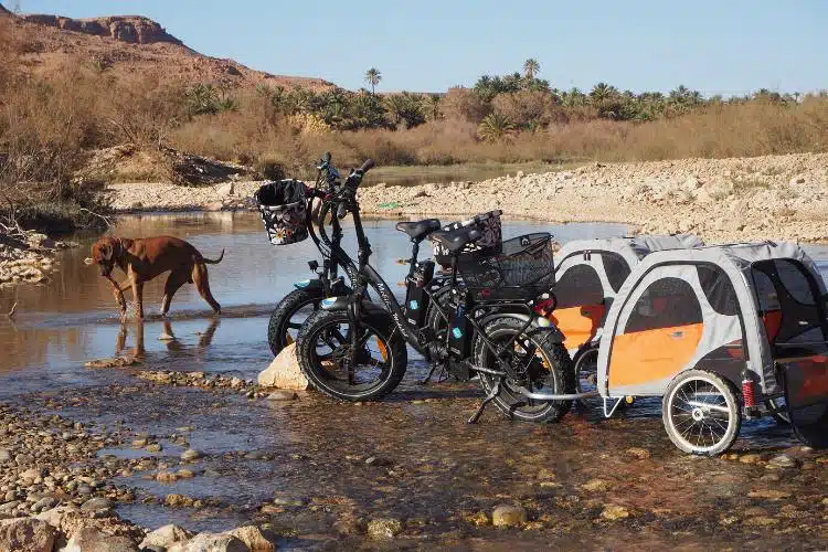 ZweiFahrräder mit Hunde-Anhängern stehen in einem Flussbett. Ein Hund spielt im Wasser