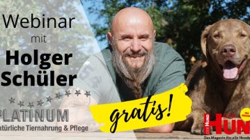 Gratis-Webinar mit Holger Schüler – Teil 2