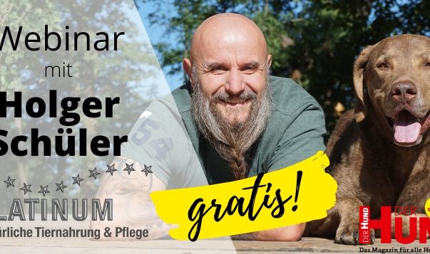 Gratis-Webinar mit Holger Schüler – Teil 2
