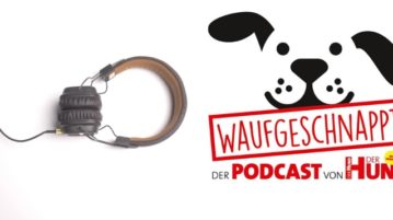 DER HUND Podcast: Hier hört ihr ihn!