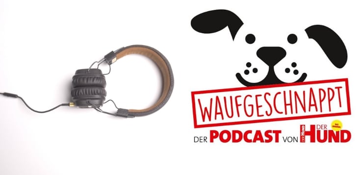 DER HUND Podcast Hier hört ihr ihn! » DER HUND