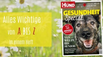 Das DER HUND Special zum Thema Gesundheit