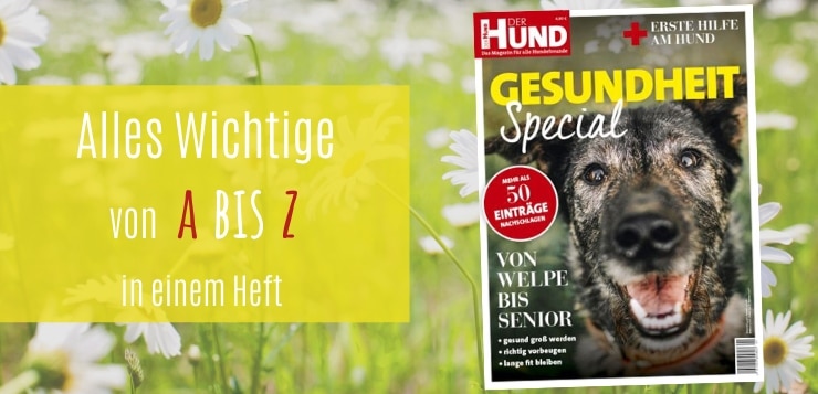 Das DER HUND Special zum Thema Gesundheit