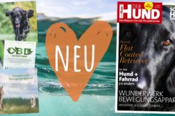 Ausgabe 08/20 von DER HUND