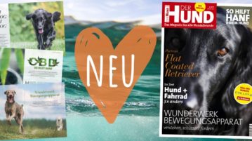Ausgabe 08/20 von DER HUND