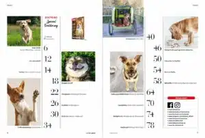 Das Inhaltsverzeichnis des Specials Ernährung von DER HUND