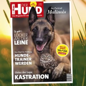 Das Cover zeigt Malinois Ingo mit Steinkauz Poldi