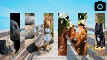 Fotowahl: Und der Juni-Gewinner ist …