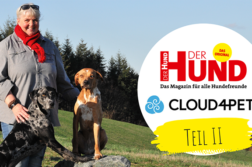 Webtalk mit Perdita Luebbe
