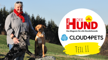 Webtalk mit Perdita Luebbe