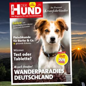 Cover Ausgabe 10/20