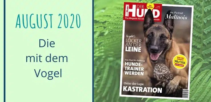 Cover der Ausgabe 9/20 von DER HUND, mit Malinois Ingo und Steinkauz Poldi