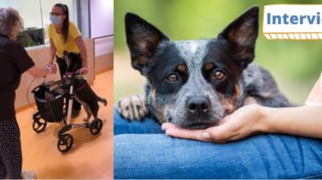 Therapiehündin mit Seniorin und Rollator im Krankenhaus