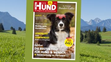 Oktober 2020 DER HUND