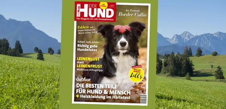 Oktober 2020 DER HUND