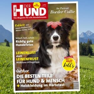 Oktober 2020 Cover DER HUND