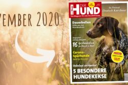 November-Ausgabe DER HUND 2020