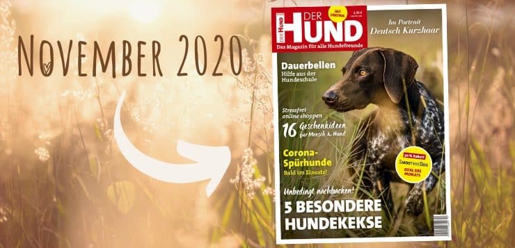 November-Ausgabe DER HUND 2020