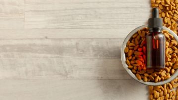 CBD-Öl für Hunde – ein Ratgeber