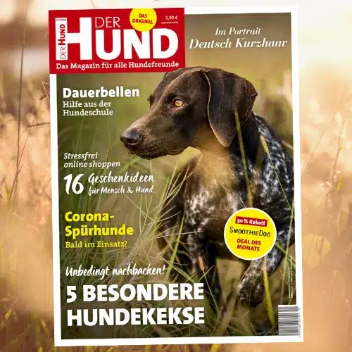 Das Cover zeigt einen Deutsch Kurzhaar auf einer Wiese