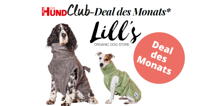 Brustkrebs (Mammatumore) bei Hunden rasch behandeln