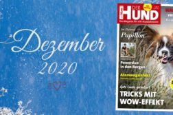 DER HUND Ausgabe Dezember 2020