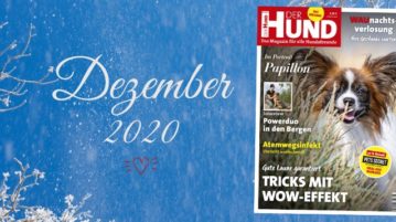 DER HUND Ausgabe Dezember 2020