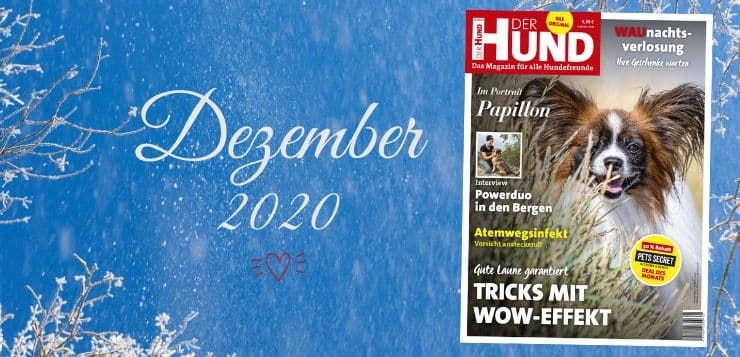 DER HUND Ausgabe Dezember 2020