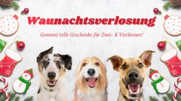 Unsere DER HUND WAUnachtsverlosung 2020 Waunachtsverlosung 2020
