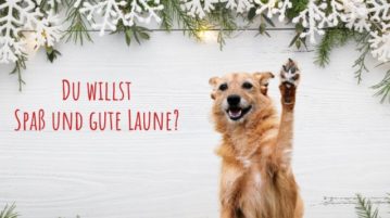 Coole Tricks für Hund und Mensch
