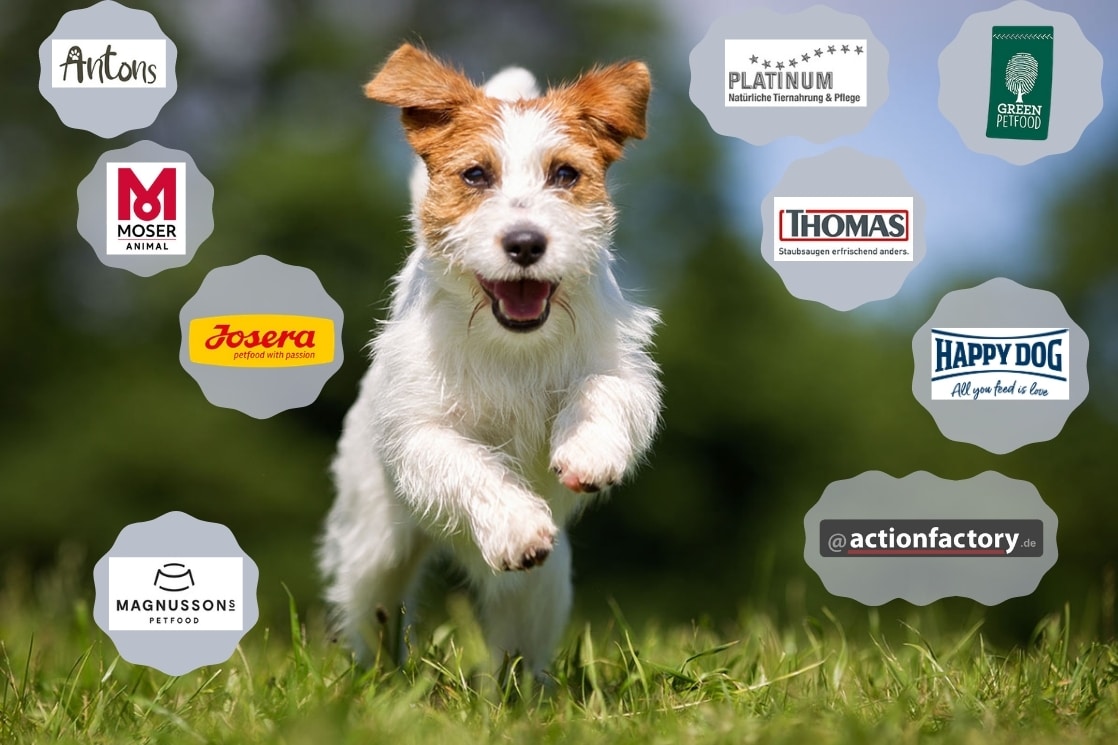 Tierische Empfehlungen 2021