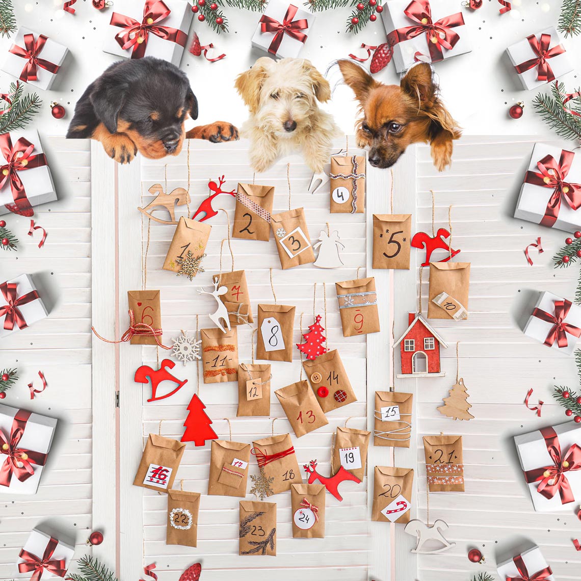 Adventskalender 2020