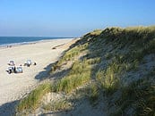 Urlaub mit Hund in Deutschland