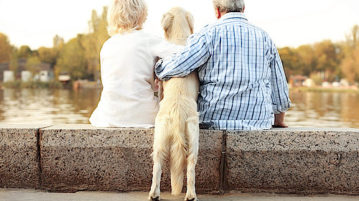 Dogsharing: Zwei Menschen teilen sich einen Hund