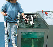 Unterwasserlaufbänder für Hunde