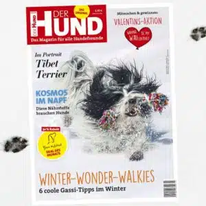 Cover der Februar-Ausgabe 2021 von DER HUND