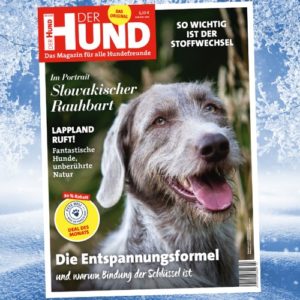 Januar Ausgabe DER HUND 2021