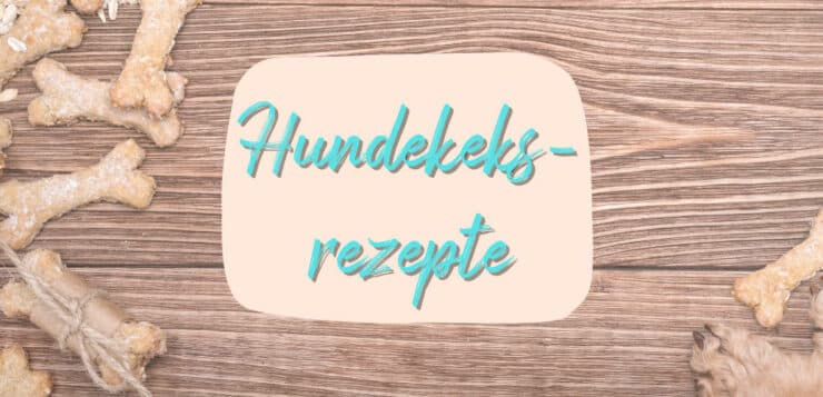 Selbstgebackene Hundekekse auf einem hölzernen Hintergrund. Text: Hundekeks-Rezepte
