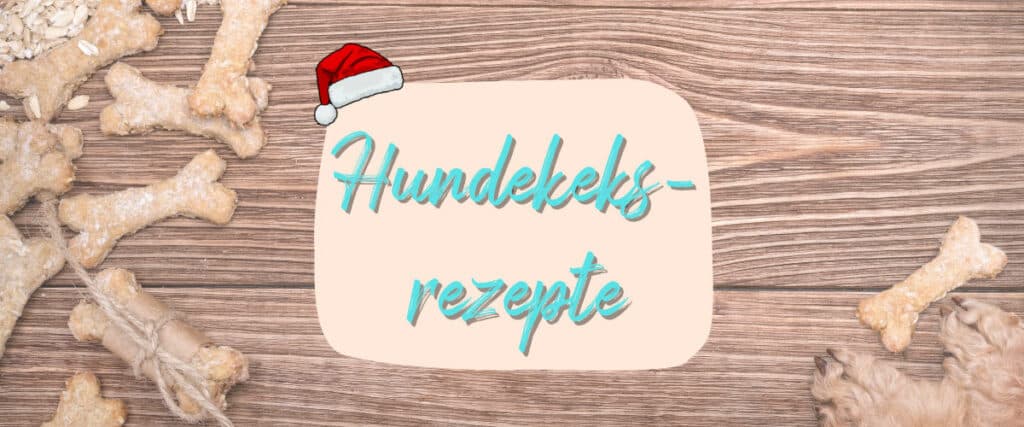 Mit diesen 3 weihnachtlichen Rezepten backst du deinem Vierbeiner festliche Hundekekse. Viel Spaß und gutes Gelingen!