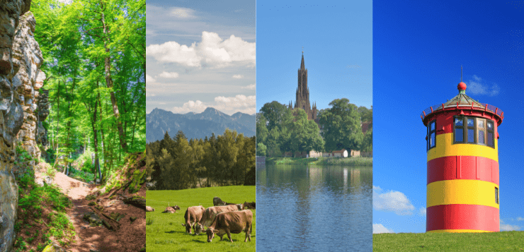Urlaub mit Hund: Die schönsten Ferienregionen Deutschlands