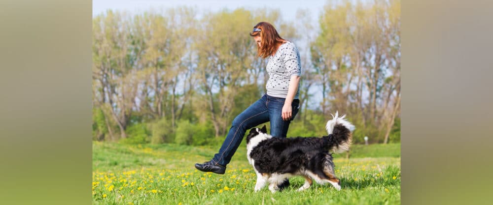 Frau hebt Bein, Border Collie geht darunter durch, Dogdance auf Wiese