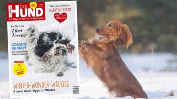 Februar 2021 Ausgabe DER HUND