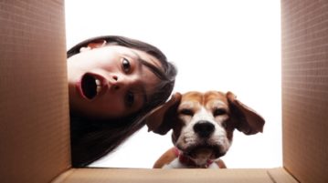 Frau und Beagle schauen in ein Paket