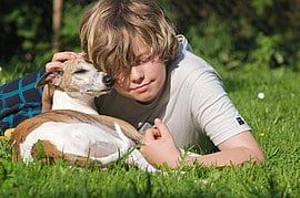 Kind & Hund