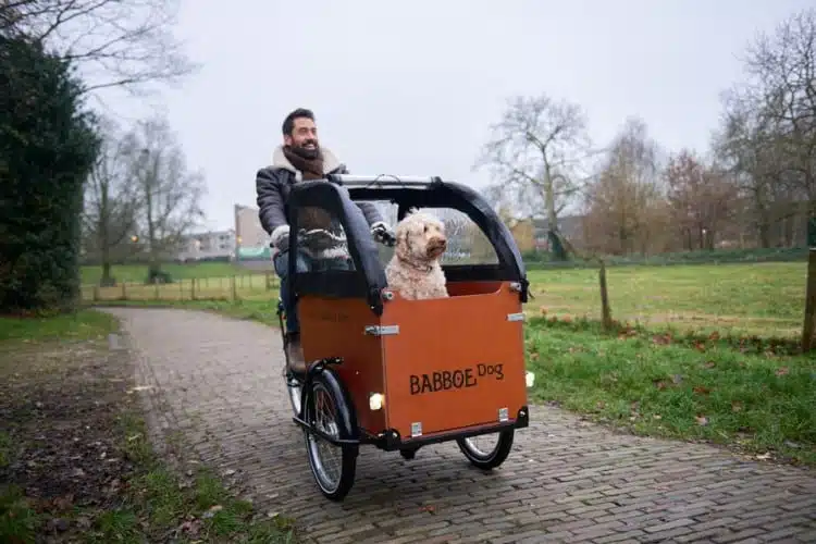 Wunderschone Babboe Dog E Der Perfekte Begleiter Fur Mensch Und Hund