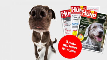 Schnupper-Abo | 3 Ausgaben für nur 11,90 €
